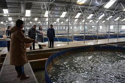 “工厂化”养鱼,探出生态环保养殖新路径