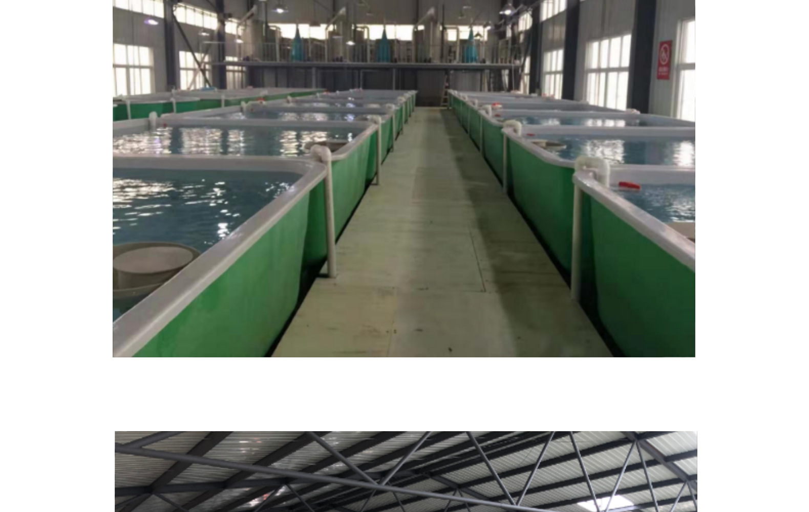 淡水水产海水鱼工厂化循环水养殖处理系统广州中航